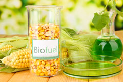 Burdon biofuel availability