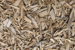 biomass boilers Burdon