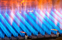 Burdon gas fired boilers